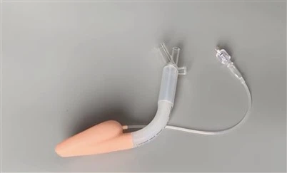 Laryngeal mask Airway